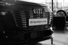 500pour100-x-Audi-Saint-Brieuc-Francois-Veillon-Photographe-20